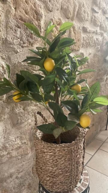 L'Isle Leilighet Beaucaire  Eksteriør bilde